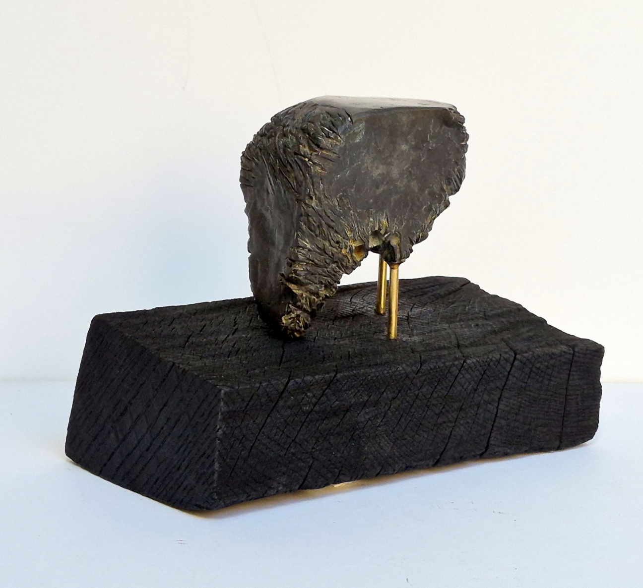 Brave, 2026, bronze, burnt oak, h 15x20x11 cm, 1/1