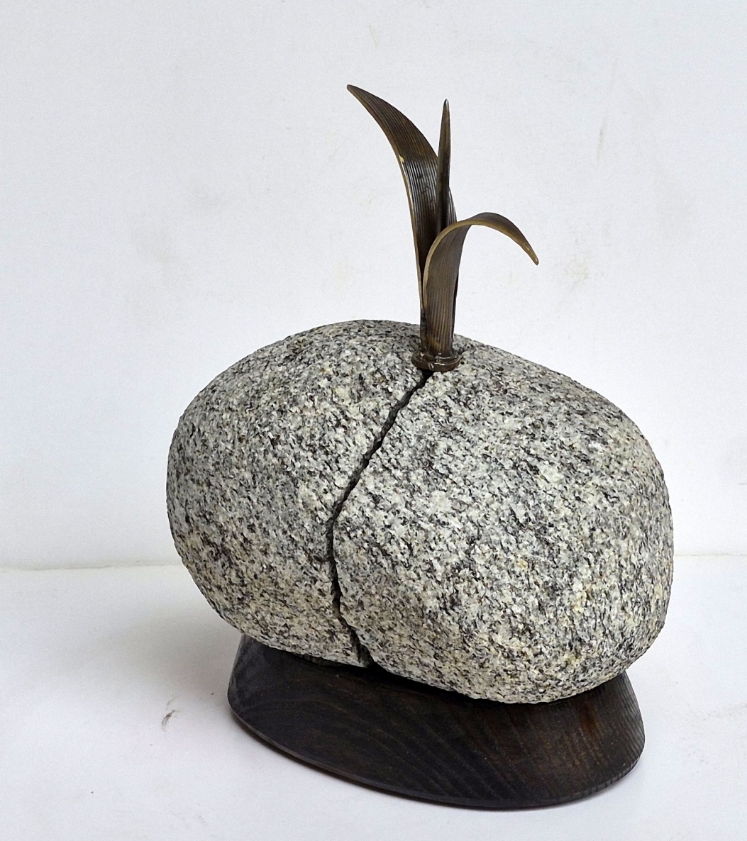 Seedling, 2025, brass, stone, wood, h 20x15x12cm, 1/1