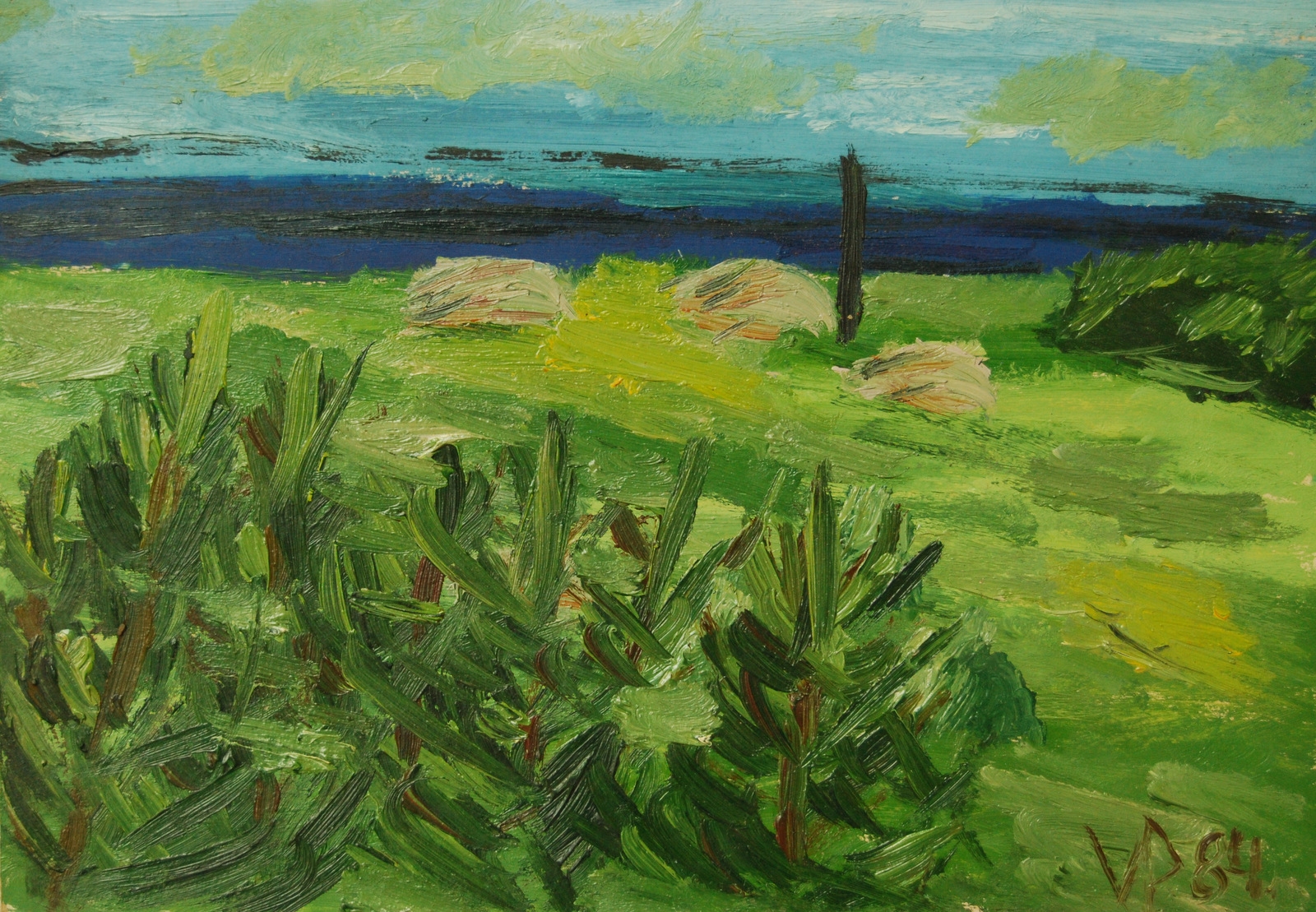 Nemunas prie Kauno, 1984, al., kart., 35x50cm