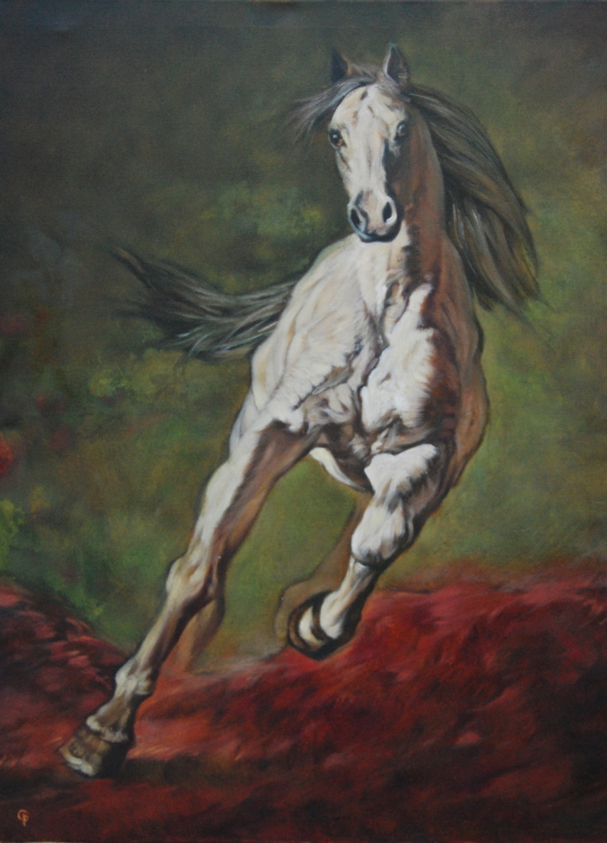 Žirgas, 2016, drb.,al., 80x60cm