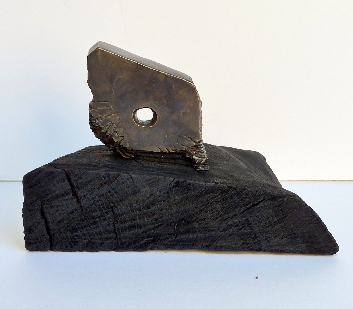 Eye, 2026, bronze, burnt oak, h 15.5x16x23 cm, 1/1