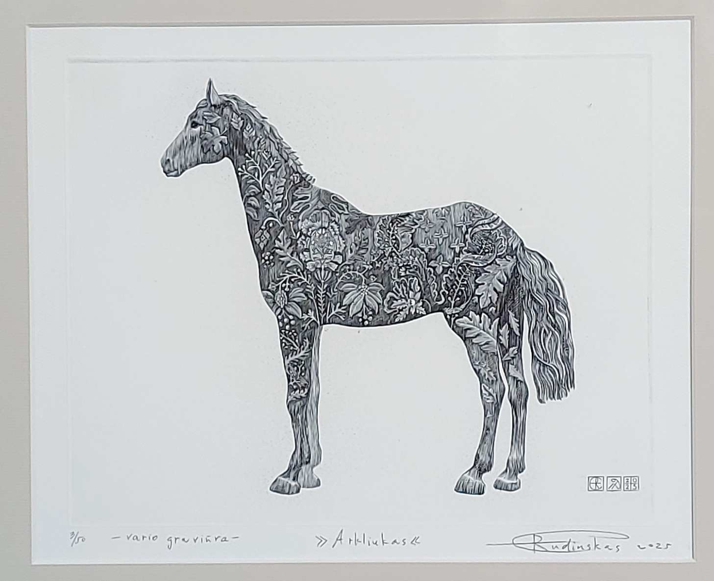 Arkliukas, 2025, vario graviūra, 20x25 cm, 3/30