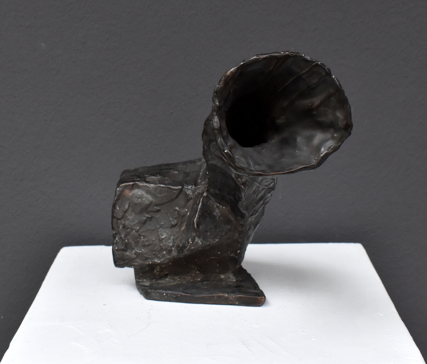 Besiklausantis namas, 2021,  bronza, h 18x22x10 cm, 8/10