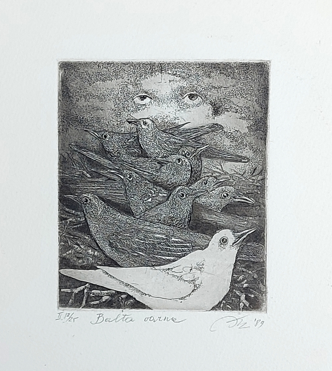 White Crow, 1989, etching, 10x8 cm, 12/25