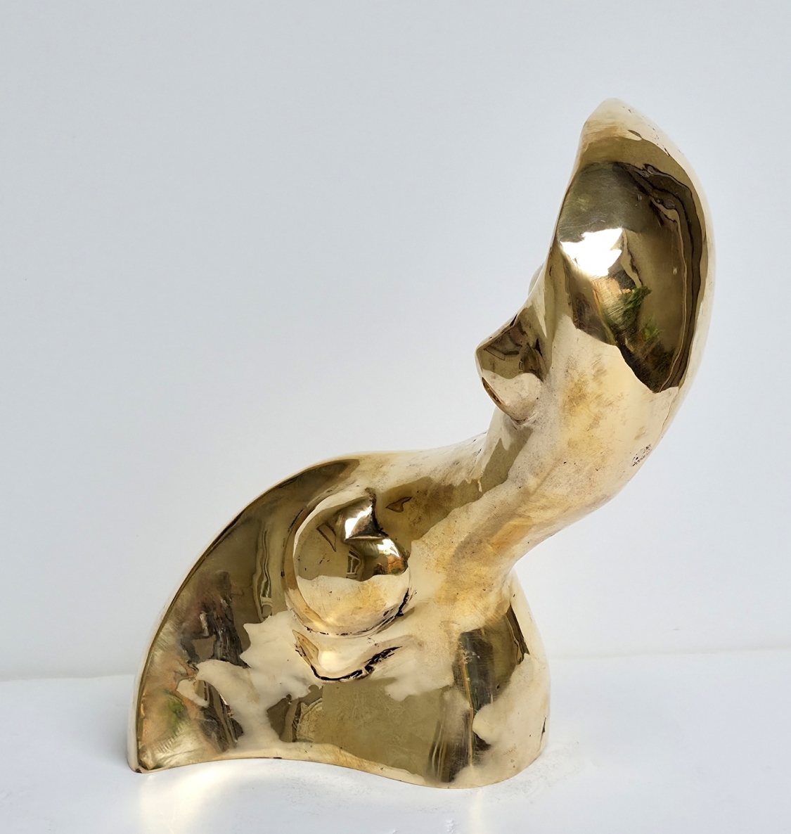 Banga, 2026, bronze, h 26x22x20 cm, 1/1
