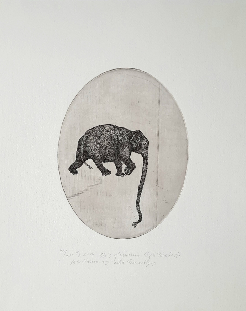 Biosuspicion or the Elephant, 2015, etching C3, 19.5×15 cm, 34/70