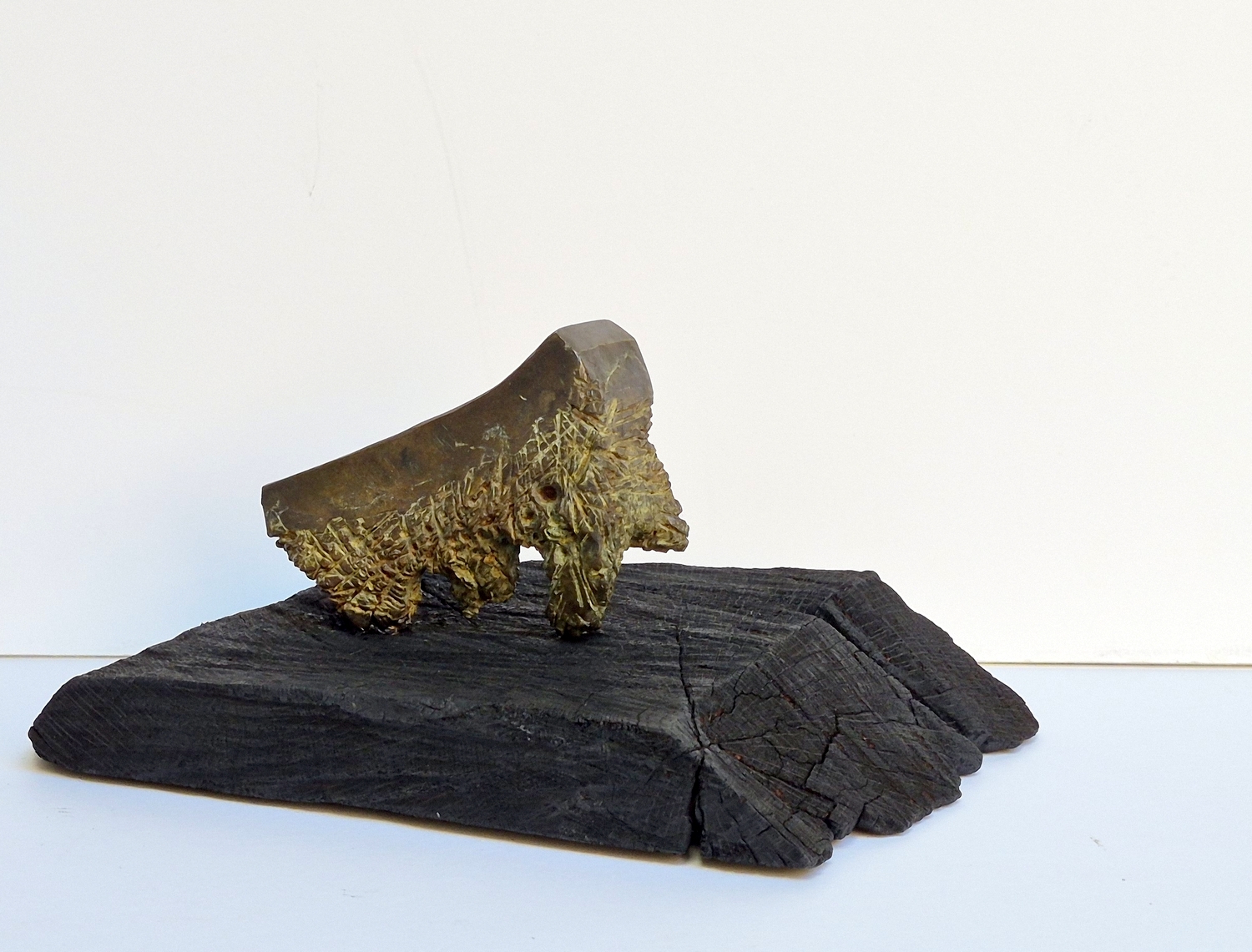 Elephant, 2026, bronze, burnt oak, h 13x26x16.5 cm, 1/1