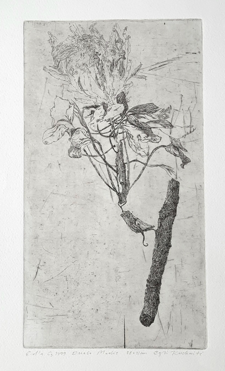 The Lizard Tree, 1999, etching C3, 38×21 cm, e.d.a.
