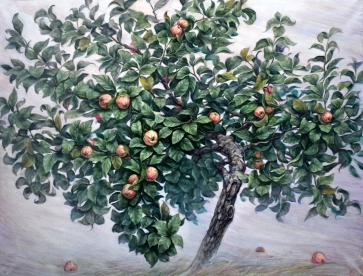 Obelis. Sierinka,  2016, drobė, aliejus,  130x170 cm