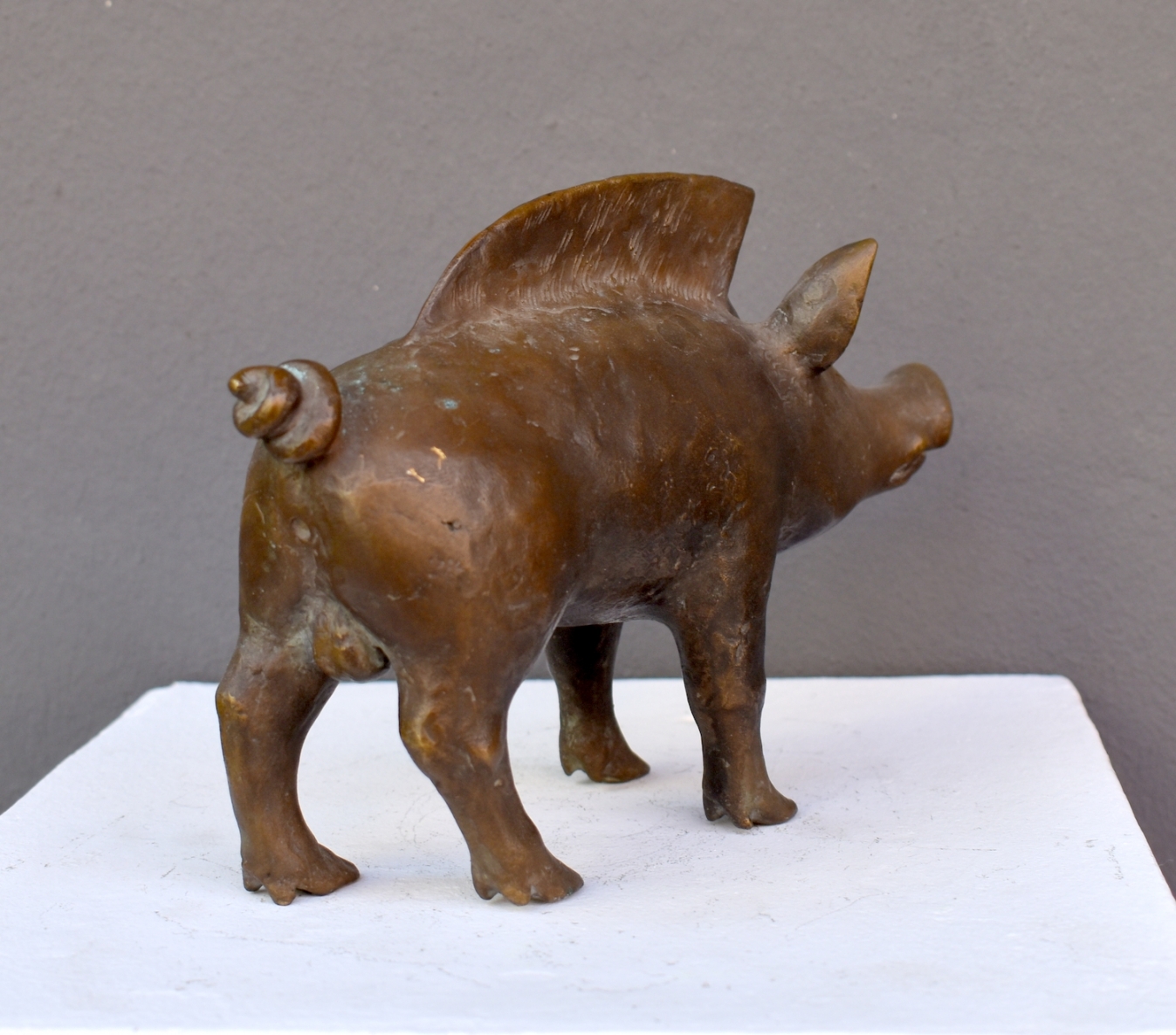 Šernas, 2013, bronza, h 12,5x19x6 cm, 1/9