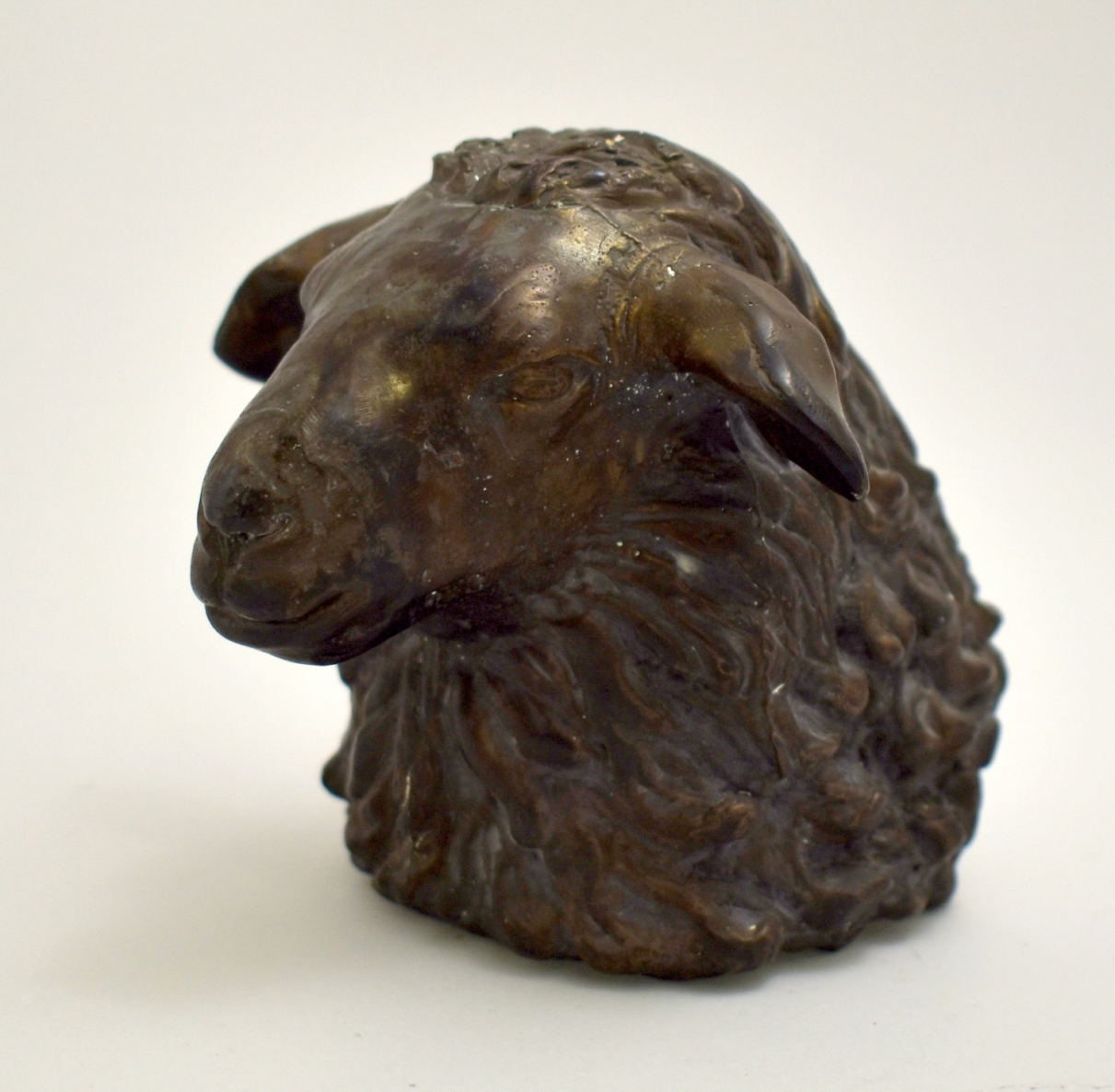 Jaunos avies portretas, 2020, bronza, h 10cm, 2/10