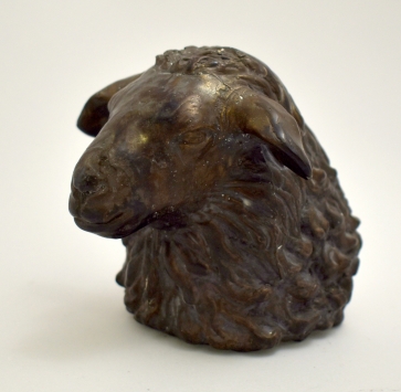 Jaunos avies portretas, 2020, bronza, h 10cm, 2/10