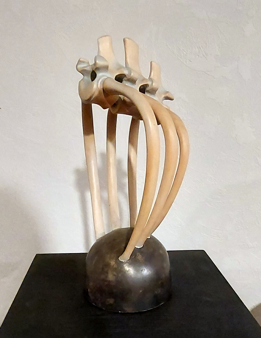 Kaulai, 1997, medis, h 31 cm, 1/1