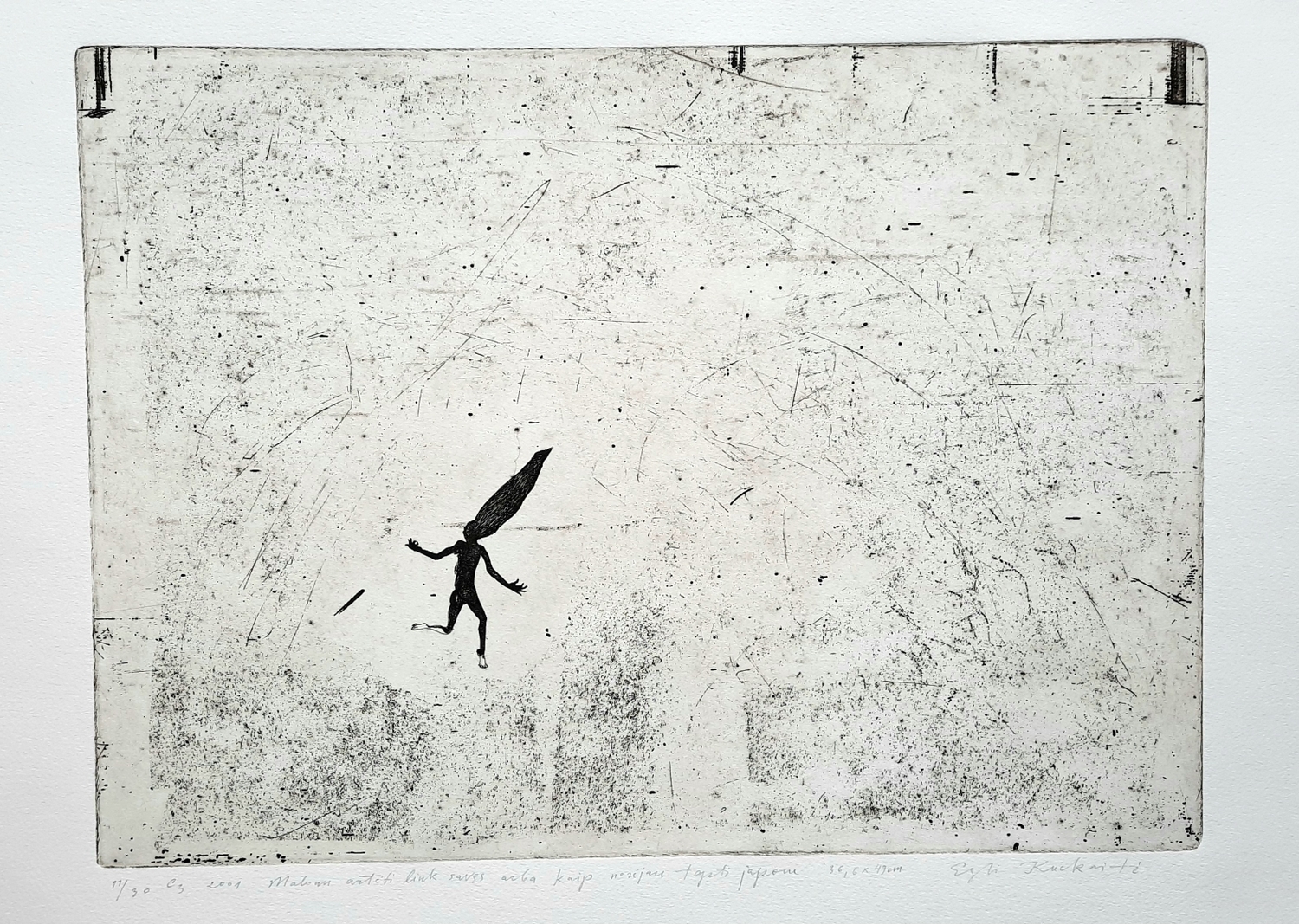 It's Nice to come Closer to You, 2001, etchingC3, 36.6×49 cm, 11/30