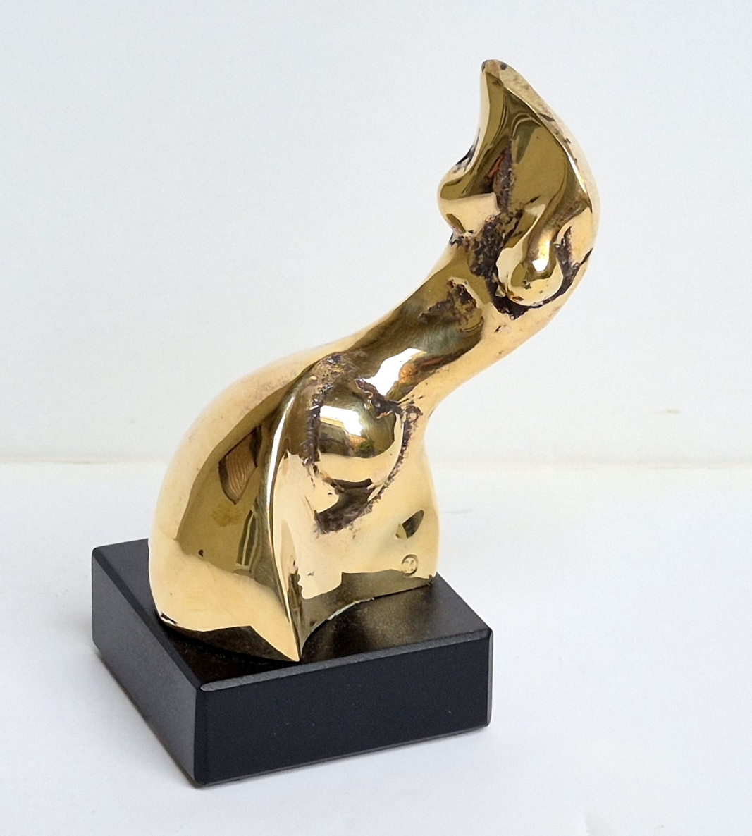 Small Wave, 2026, bronze, h 11x7.5x5.5 cm, 1/1
