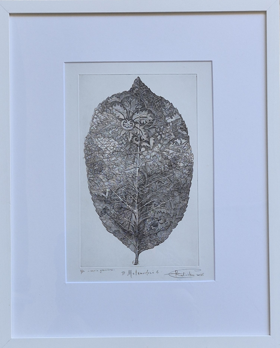 Metamorfozė, 2025, vario graviūra, 29x18 cm, rėmas 53x43 cm, 3/50 