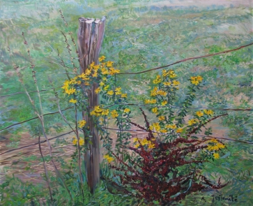 Pakelės jonažolės, 2021, drobė, aliejus, 110x130 cm