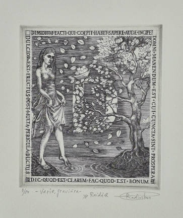 Letter D, 2026, copper engraving, 15x13 cm, 3/50