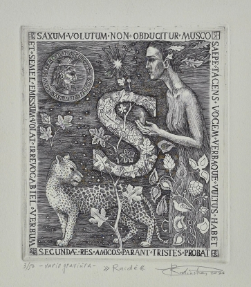 Letter S, 2026, copper engraving, 15x13 cm, 3/50
