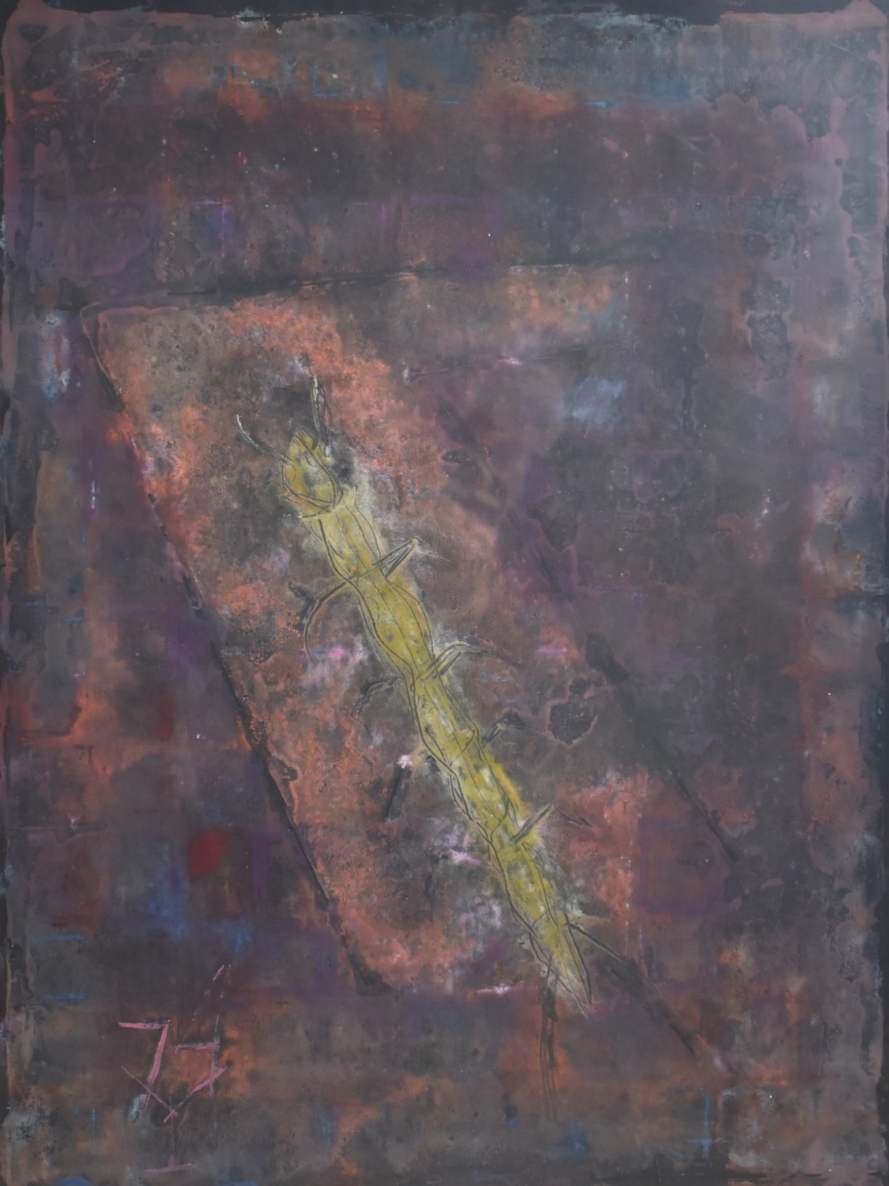 Vabalas, 1974, moliotipija, 70x40 cm, 1/1