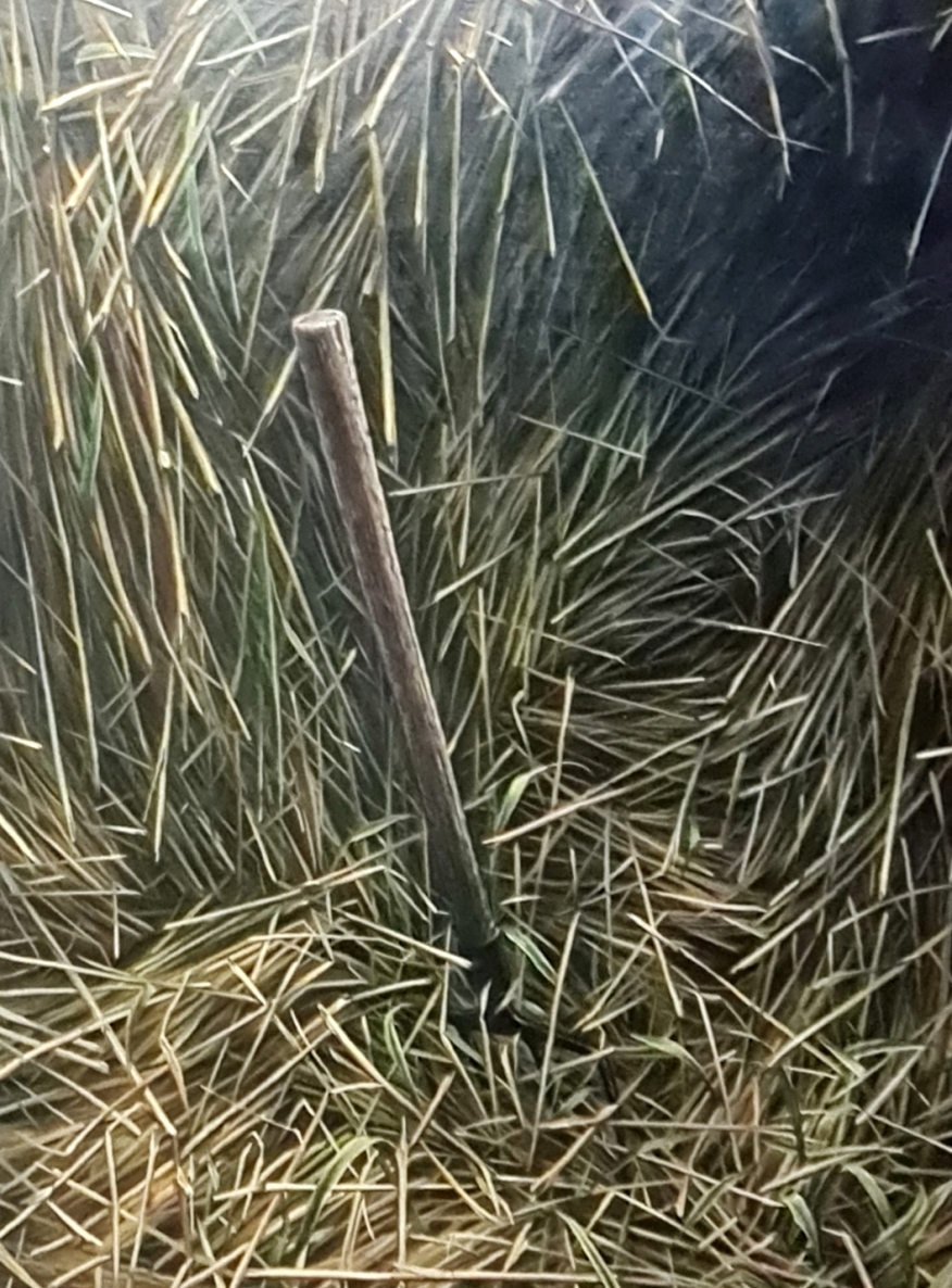 In straw, 2016, oil on canvas, 150x120 cm