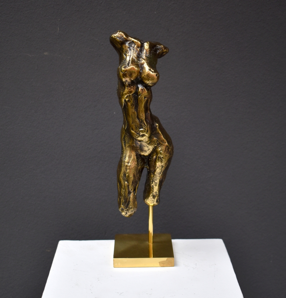 Torso, bronze, h 28,5 cm
