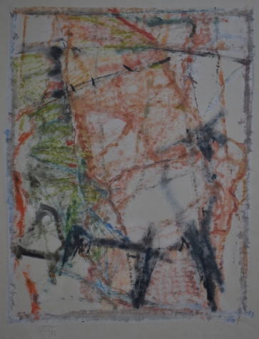 Vabalas, 1993, pastelė, popierius, 70x56 cm