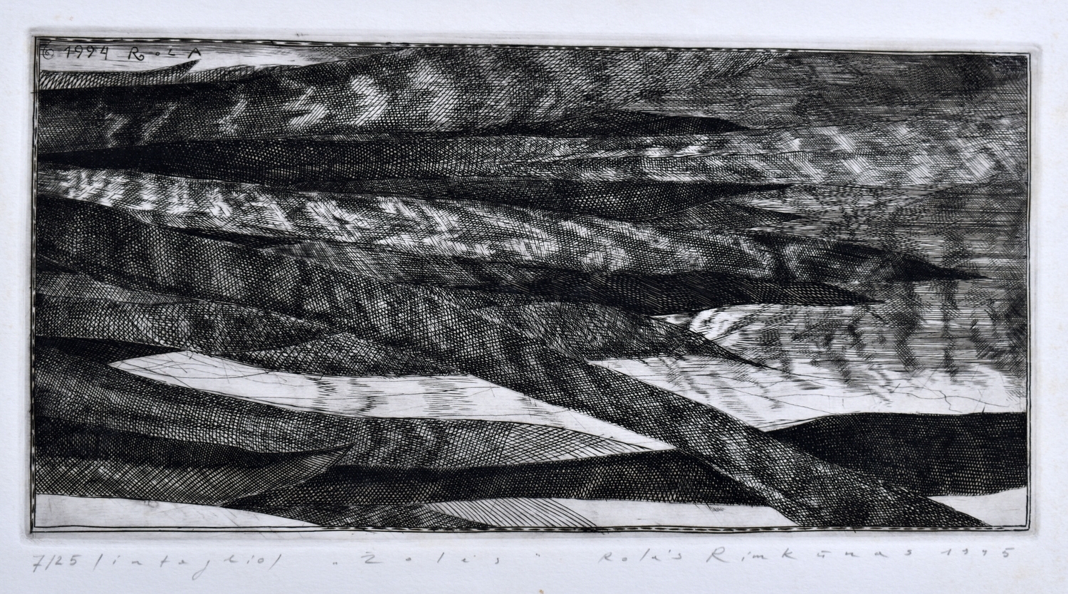 Žolės, 1995, ofortas, 7/25, 20x40cm